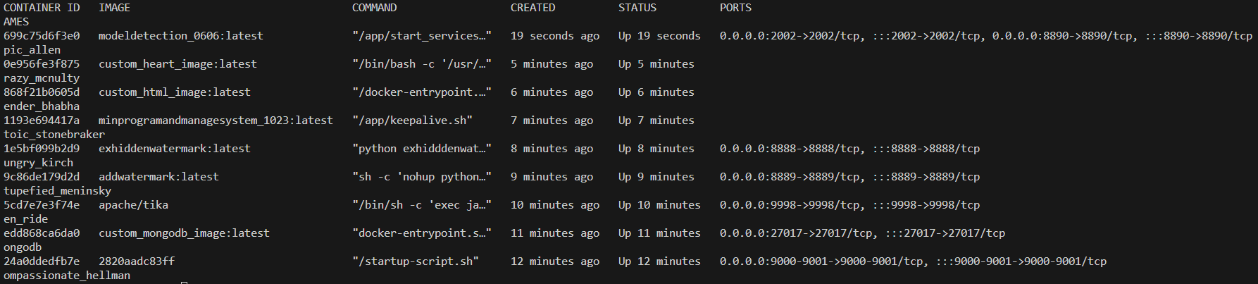 灵琐方舟Docker容器运行状态：显示docker ps命令输出，包含容器ID、镜像名称、运行状态、端口映射等信息，用于验证系统部署成功，适用于Linux/Windows Server/麒麟V10系统